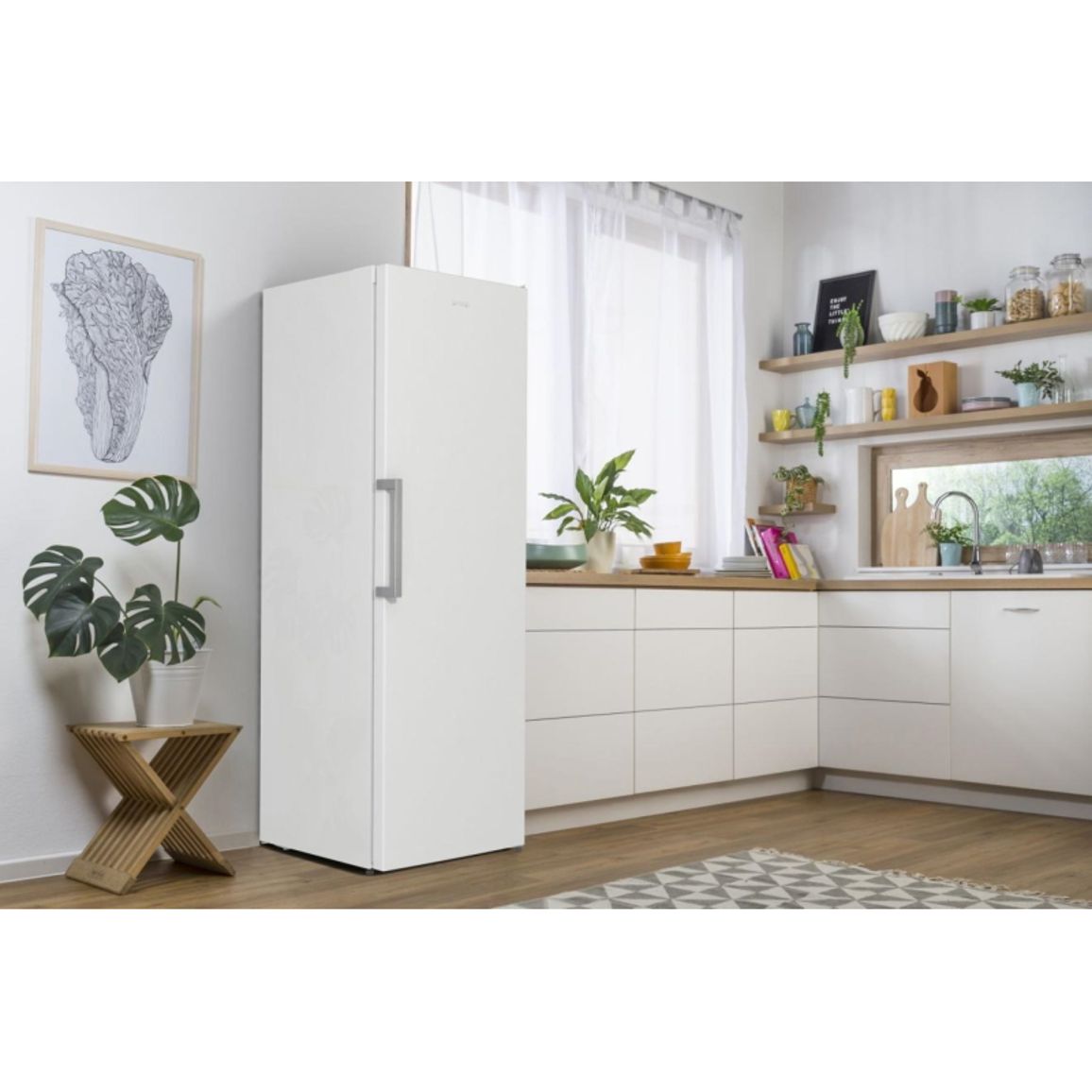 Холодильная камера R 619 EEW5 Gorenje