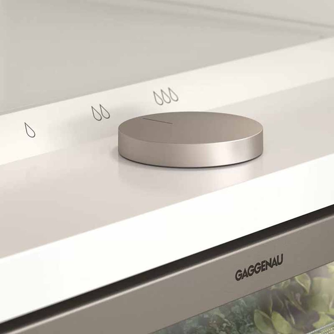 Встраиваемый холодильник-морозильник RB289300 GAGGENAU