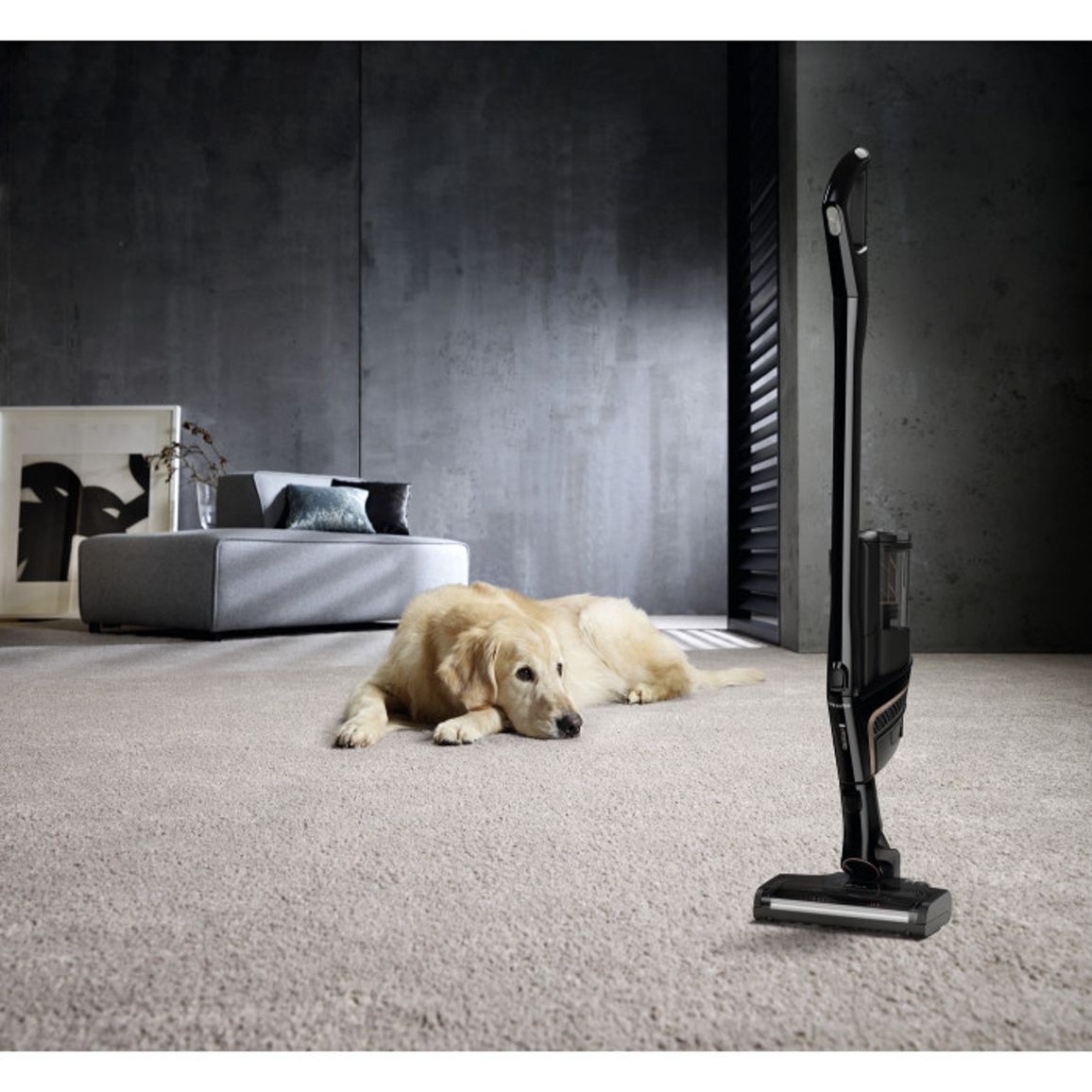 Аккумуляторный пылесос SOML0 30 TRIFLEX HX2 C&D Miele