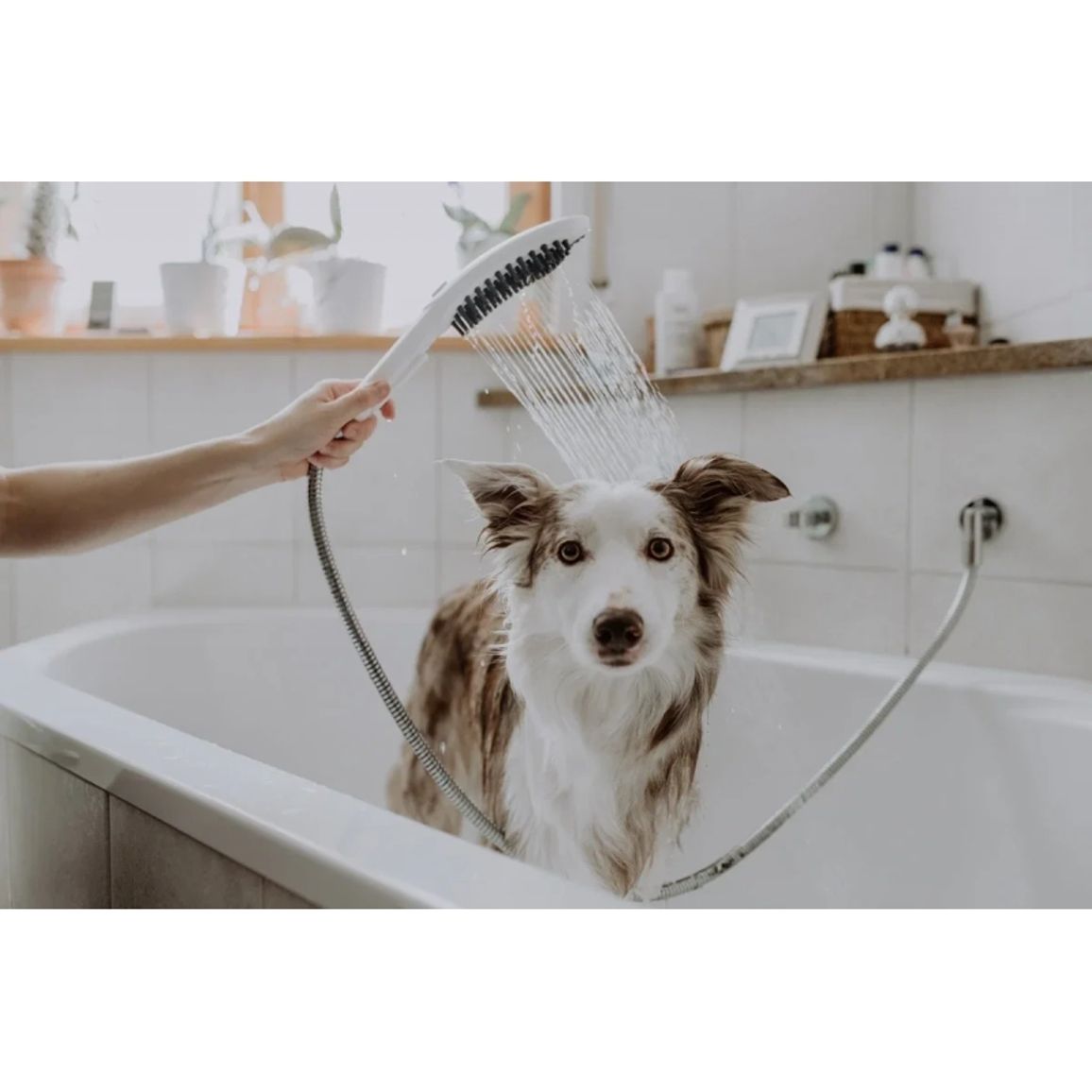 Ручний душ Hansgrohe DogShower 150 3Jet  Petrol Blue Hansgrohe (26640540)