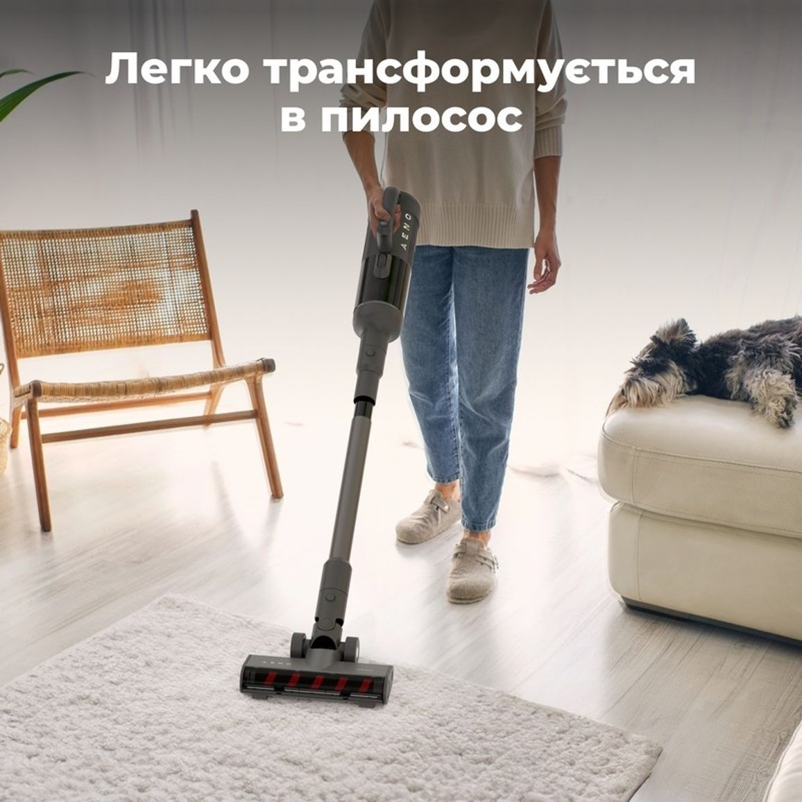 Миючий акумуляторний пилосос TC1 (ATC0001) AENO