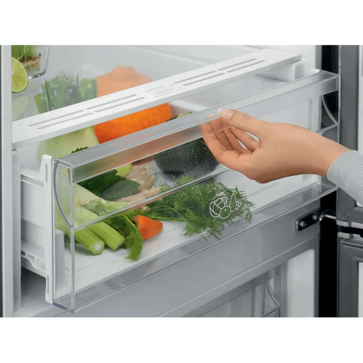 Холодильник LNT5ME36U1 нерж Electrolux Холодильник LNT5ME36U1 нерж Electrolux