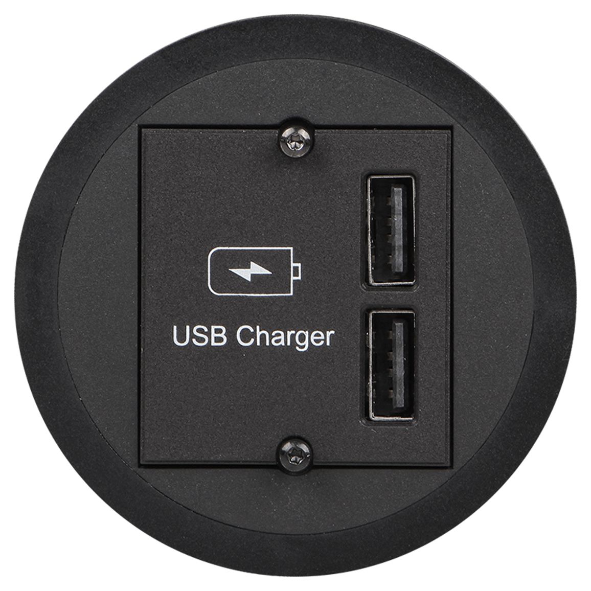 PIX розеточный блок, 1xUSB-модуль двойной PIX розеточный блок, 1xUSB-модуль двойной