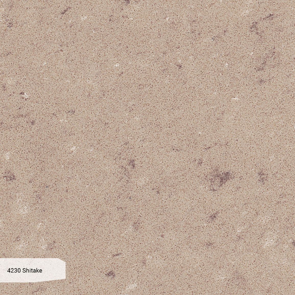 Штучний кварцит Caesarstone 4230 Shitake 20мм Штучний кварцит Caesarstone 4230 Shitake 20мм