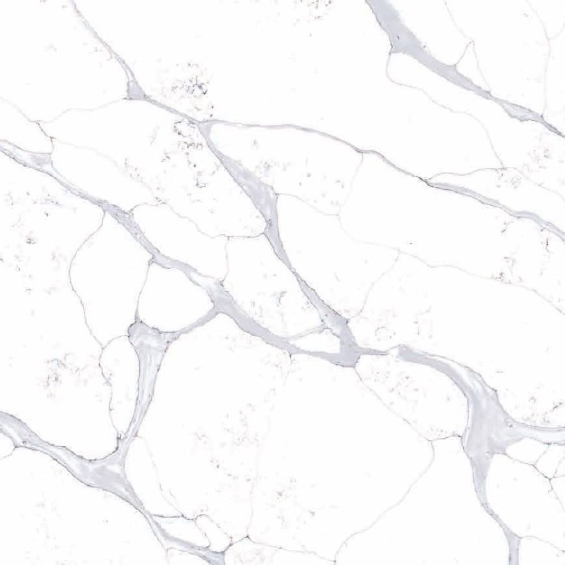 Штучний кварцит TermopalStone Calacatta Newborough 20 мм Штучний кварцит TermopalStone Calacatta Newborough 20 мм