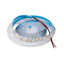 LED-стрічка Smart 2835 SMD, 120 LEDs/m, 9,6W, 12V, холодне світло, 6500К