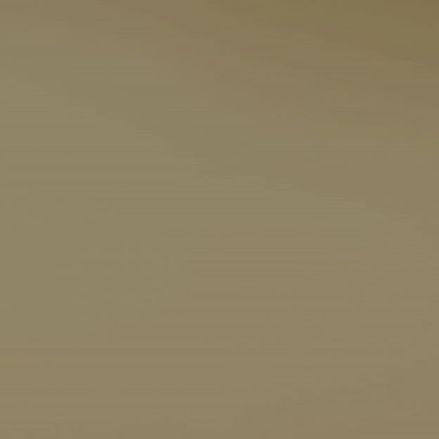 Панель МДФ 8861 Acrylux Золотая жемчужина METAL PET NIEMANN двусторонняя 2800х1300х18.6мм