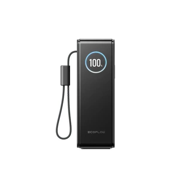 Павербанк RAPID Power Bank з кабелями 25000mAh чорний EF-RAPID25K100W-B-EU EcoFlow