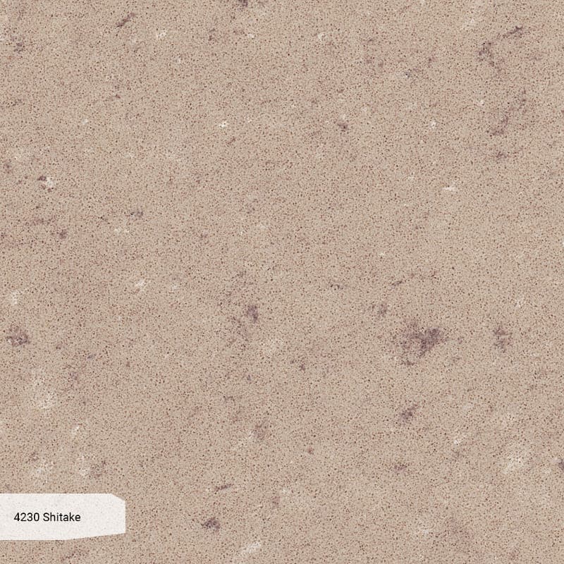 Штучний кварцит Caesarstone 4230 Shitake 20мм