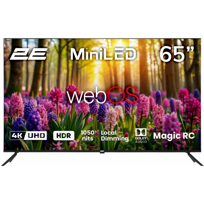 Телевизор 65A88H 2E Телевизор 65A88H 2E