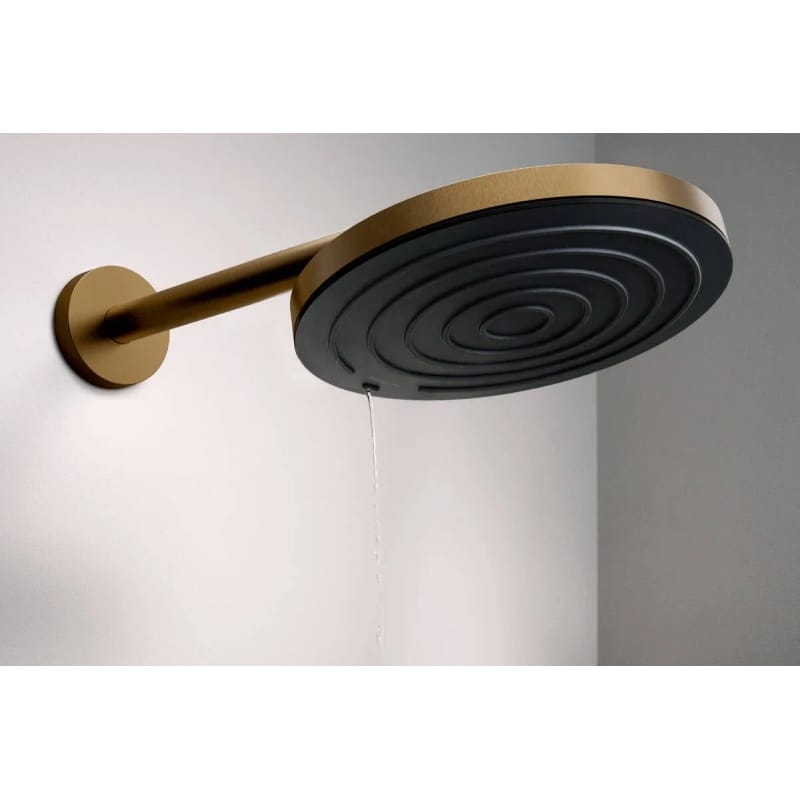 Тримач душу Hansgrohe S 39 см Brushed Bronze Hansgrohe (24357140) Тримач душу Hansgrohe S 39 см Brushed Bronze Hansgrohe (24357140)