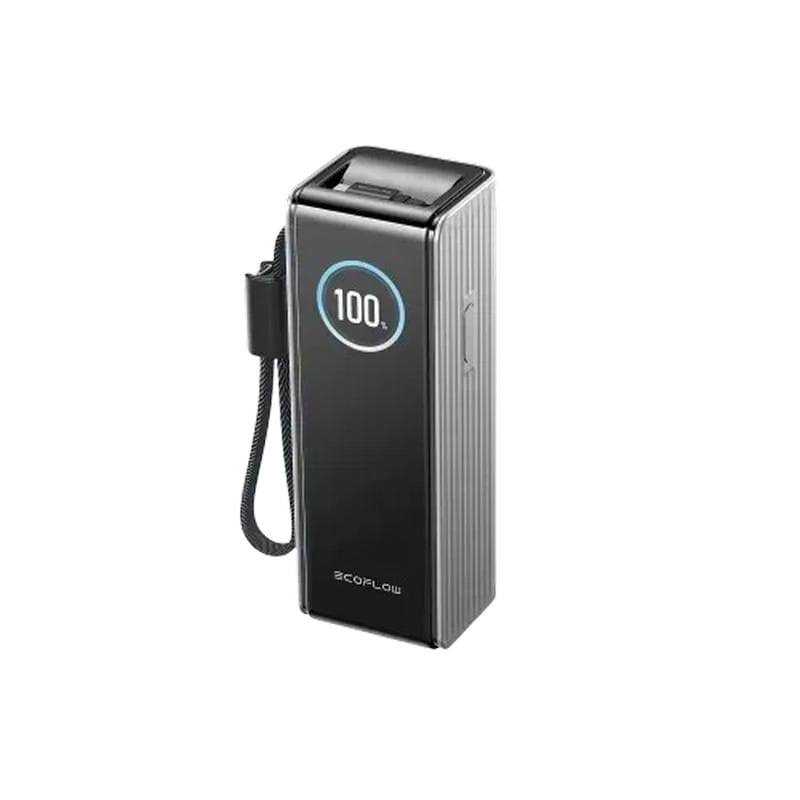 Павербанк RAPID Power Bank з кабелями 25000mAh сріблястий EF-RAPID25K100W-S-EU EcoFlow
