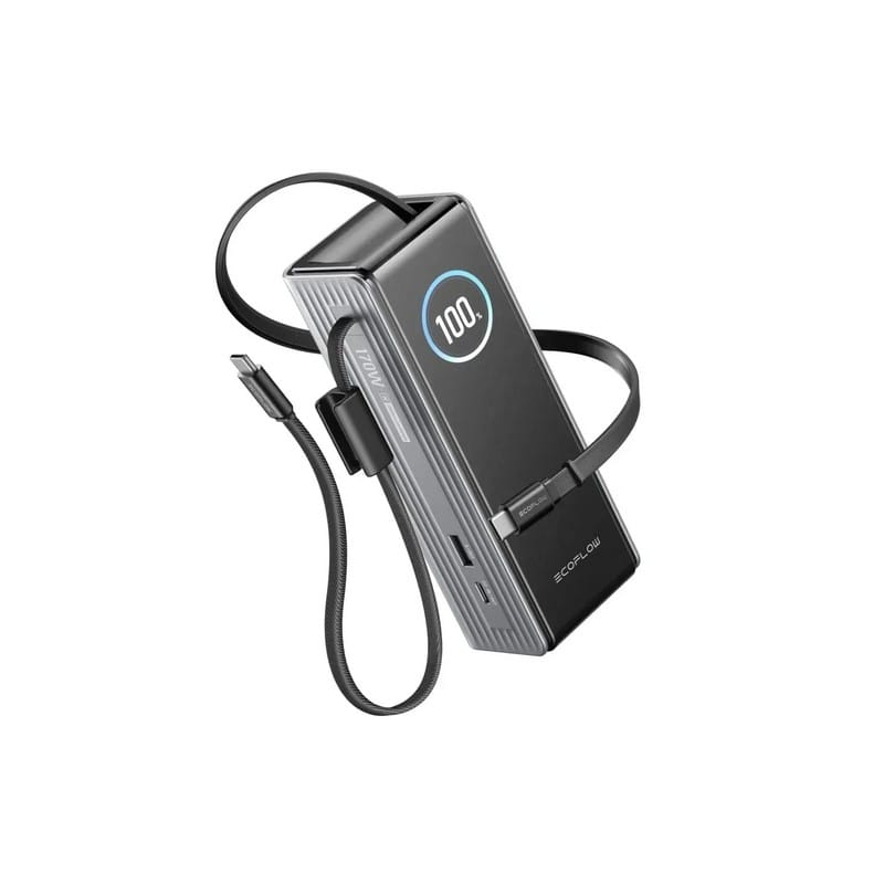 Павербанк RAPID Power Bank з кабелями 25000mAh сріблястий EF-RAPID25K100W-S-EU EcoFlow
