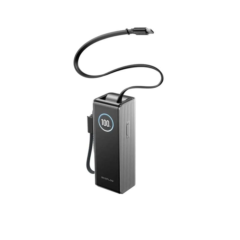 Павербанк RAPID Power Bank з кабелями 25000mAh сріблястий EF-RAPID25K100W-S-EU EcoFlow