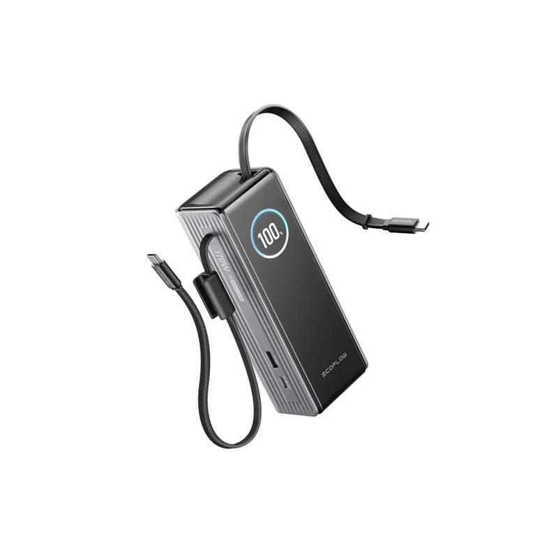 Павербанк RAPID Power Bank з кабелями 25000mAh сріблястий EF-RAPID25K100W-S-EU EcoFlow