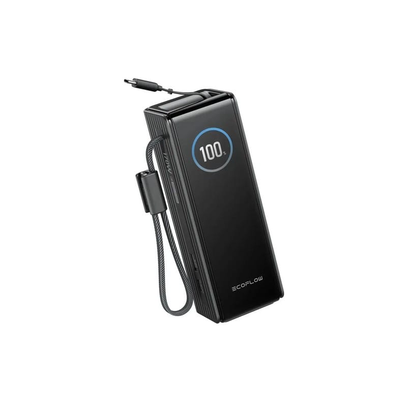 Павербанк RAPID Power Bank з кабелями 25000mAh чорний EF-RAPID25K100W-B-EU EcoFlow