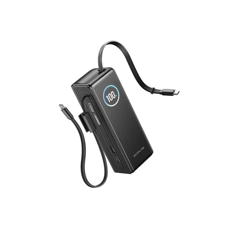 Павербанк RAPID Power Bank з кабелями 25000mAh чорний EF-RAPID25K100W-B-EU EcoFlow