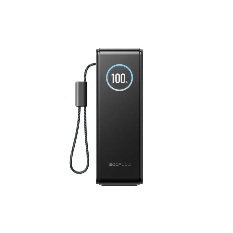 Павербанк RAPID Power Bank з кабелями 25000mAh сріблястий EF-RAPID25K100W-S-EU EcoFlow