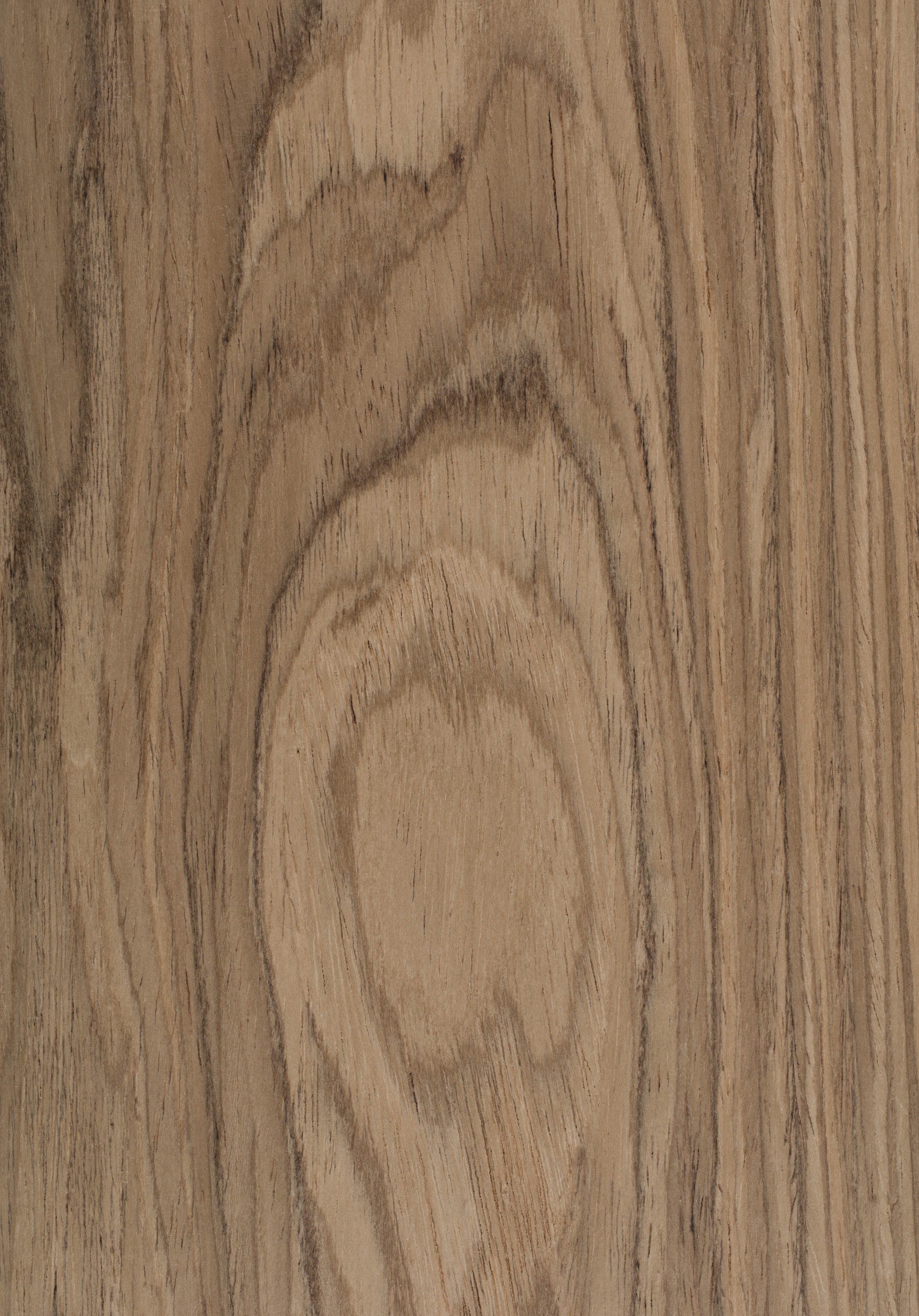 Шпон Шляхетний горіх Noble Walnut Шпон Шляхетний горіх Noble Walnut