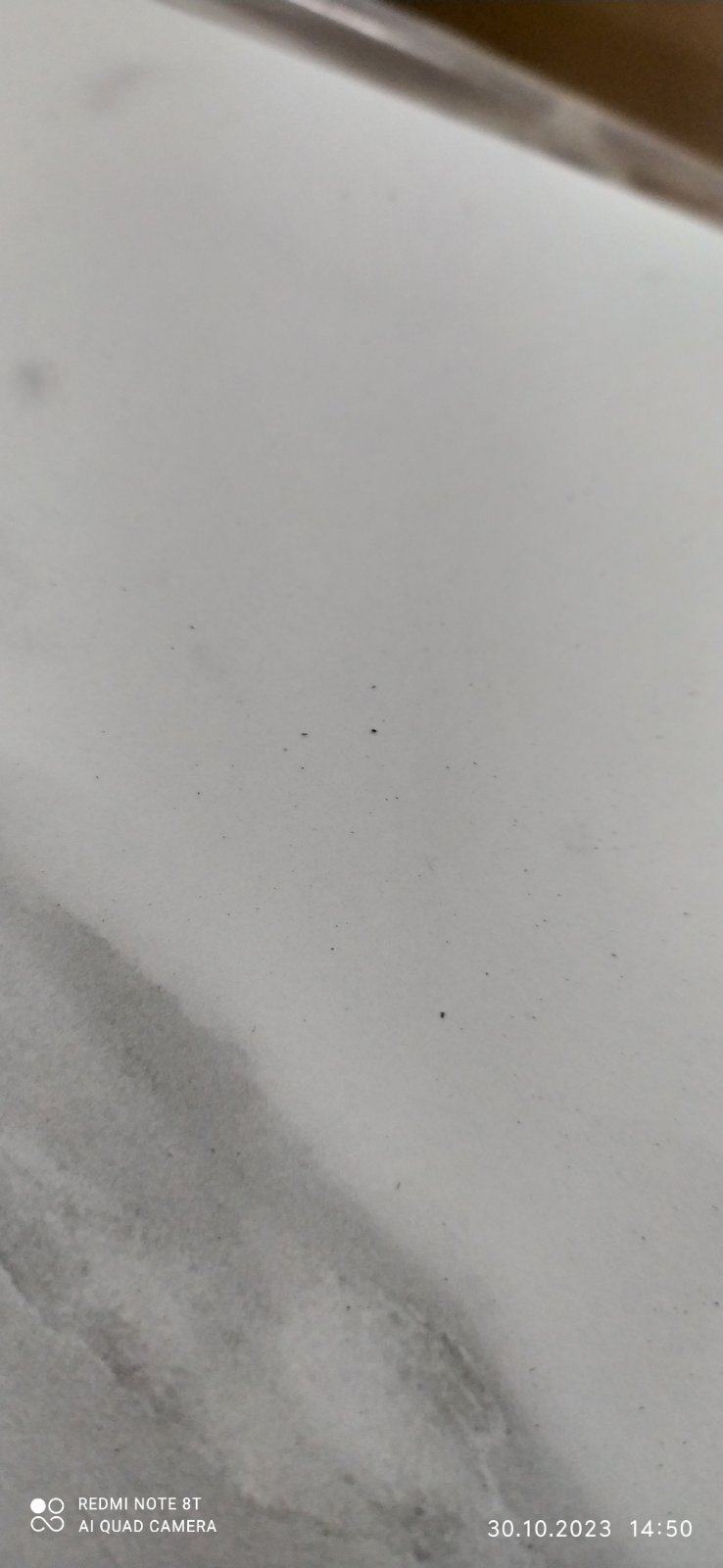 120623.2.jpg 120623.2.jpg