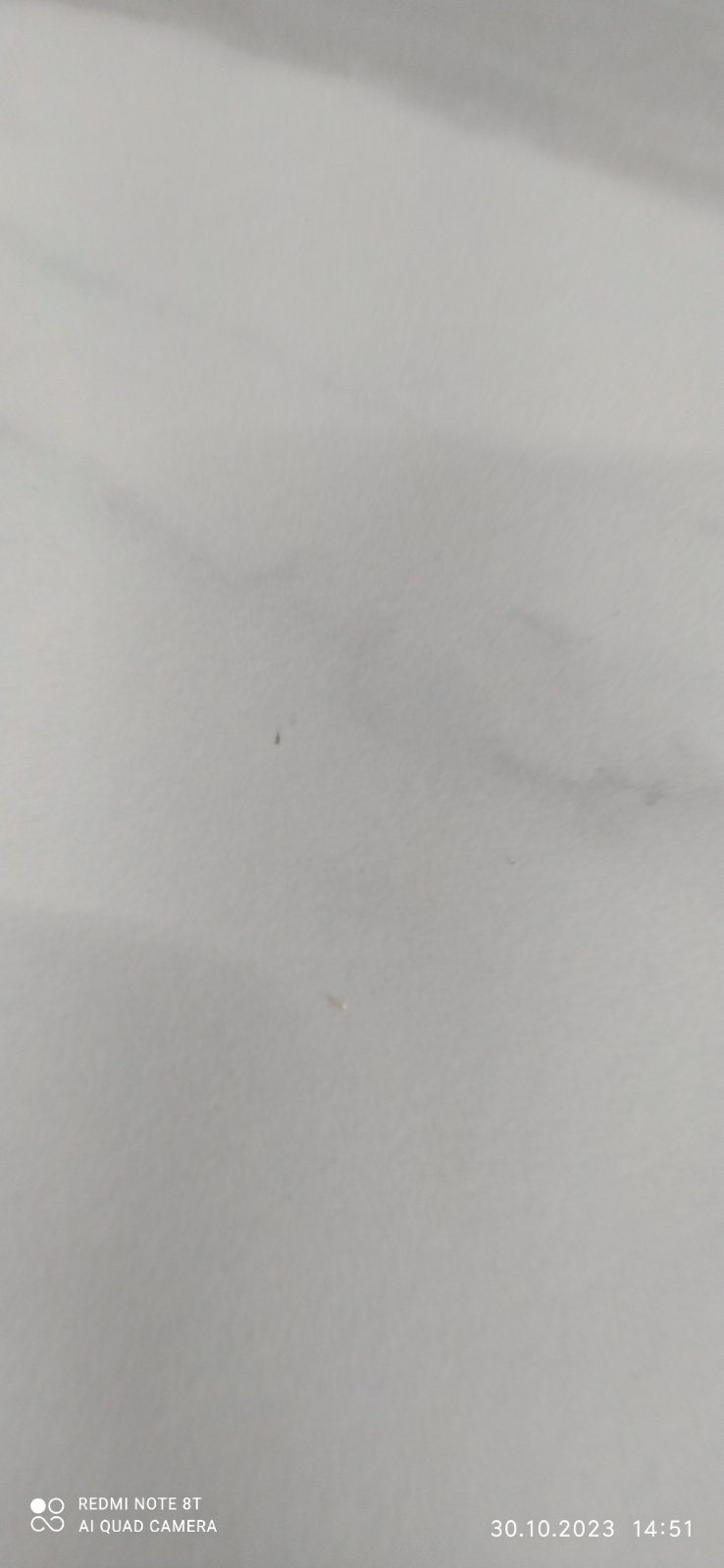 120623.1.jpg 120623.1.jpg