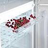 Холодильник з нижньою морозильною камерою RF56SM-S5RB2E червоний Snaige, замовити онлайн - фото №8 - small