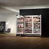 Встраиваемая холодильная камера RC492304 GAGGENAU, купить - фото №2 - small