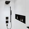 Верхний душ Hansgrohe Pulsify E 260 2jet EcoSmart с держателем Matt Black Hansgrohe (24351670), недорого - фото №3 - small