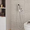 Комплект гигиенического душа Hansgrohe Chrome Hansgrohe (29230000), недорого - фото №3 - small