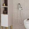 Комплект гигиенического душа Hansgrohe S EcoSmart Chrome Hansgrohe (29232000), купить - фото №2 - small