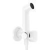 Гігієнічний душ Hansgrohe SE EcoSmart Matt White Hansgrohe (29232700) - small