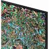 Телевізор 75''QE75QN800DUXUA Samsung, фото - фото №5 - small