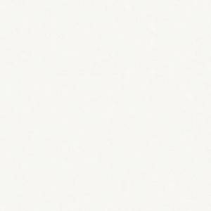ДСП Kronospan 0101 SM Белый фасадный 2800x2070x16 мм | viyar.ua ДСП Kronospan 0101 SM Белый фасадный 2800x2070x16 мм