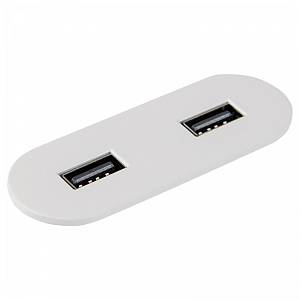 VersaPICK USB-розетка овальная, 2 USB порта (5В/9В, 3А/2A), 110-220В, IP20, ZAMAK, белый мат RAL9003 (06029Z00028)