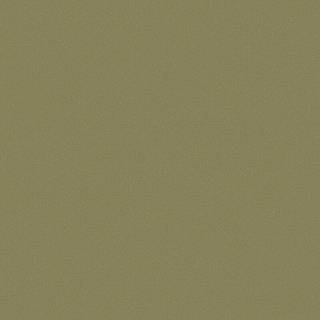 ДСП SAVIOLA Topmat/Topmat DD5 Оливковый 2800х1860х18мм
