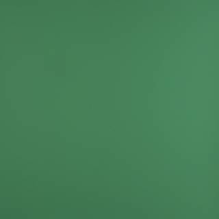 Пластик ARPA 0783 R 3050x1300x0, 7