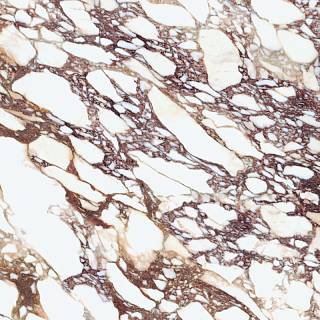 Керамогранит Laminam I Naturali Calacatta Viola BM(А) naturale 12, 5 мм 3240х1620