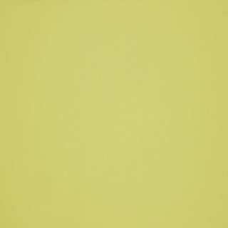 МДФ ARPA 0661 Lucida 3050x1300x19 / ARPA 0661 Lucida 3050x1300x19