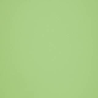 МДФ ARPA 0660 Lucida 3050x1300x19/ ARPA 0660 Lucida 3050x1300x19