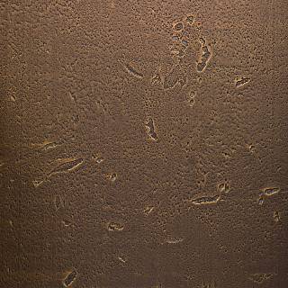 МДФ Homapal 500/502 Brass Moon / Arpa 0509 R 2440х1220х19
