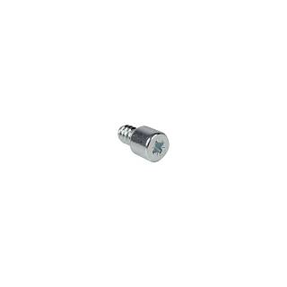 Винт-держатель клипсы для цоколя PC20,  d=10 мм,  PZ2,  сталь оцинкованная,  Italiana Ferramenta