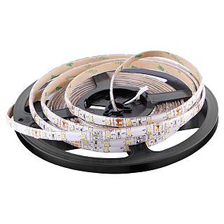 LED - 3528 SMD стрічка,  60 LEDs / M,  4.8W,  12V,  L = 1000 мм,  IP65,  холодне біле світло
